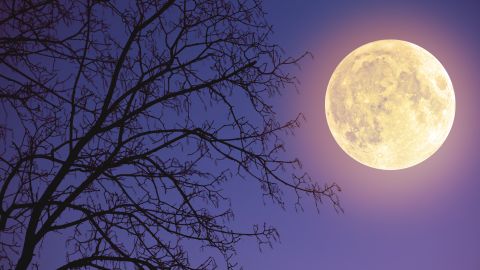 La luna llena en Virgo puede darte un enfoque más práctico a tus emociones.