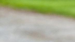 El niño fue rescatado por la policía del estado.