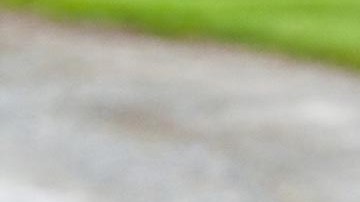 El niño fue rescatado por la policía del estado.