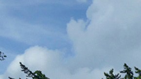 Harry y Meghan Markle