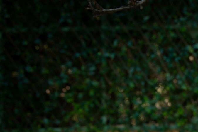 Marcus Ornellas y Livia Brito en el inicio de grabaciones de 'Mujer de Nadie'