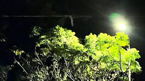 Autoridades en México descubren autobús con más de 100 migrantes; iban ocultos hasta entre maletas