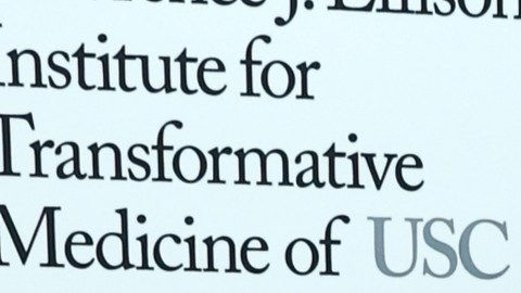 Mila Kunis y Ashton Kutcher