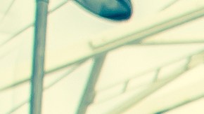 Los signos que se encuentran en este listado tienen características particulares.