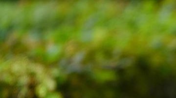 La menor de edad se pudo liberar de su captor dándole fuertes patadas.