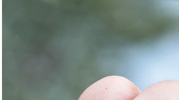 La pareja se encuentran recluida dentro de la prisión