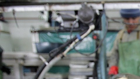 Sin bacalao ni cangrejo: el negocio de mariscos en EE.UU. se prepara para escasez de pescado tras las sanciones a Rusia