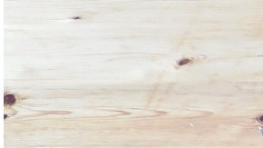 La víctima sufrió fractura de brazo y le dislocó el hombro durante el arresto.