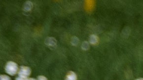 El inicio de la primavera es ideal para los rituales de purificación energética.