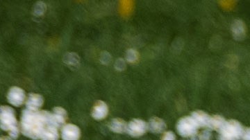 El inicio de la primavera es ideal para los rituales de purificación energética.