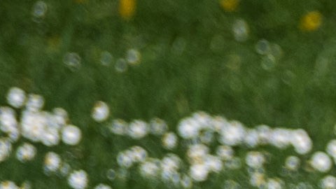 El inicio de la primavera es ideal para los rituales de purificación energética.