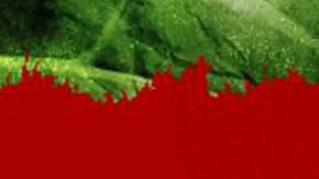 'Resistiré' incluye a 'influencers' de redes sociales así como participantes de otros reality shows.