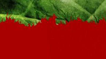 'Resistiré' incluye a 'influencers' de redes sociales así como participantes de otros reality shows.