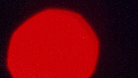 Las predicciones del horóscopo chino de hoy