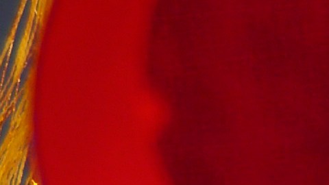 Las predicciones del horóscopo chino de hoy