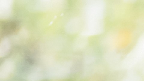Los rituales son una alternativa espiritual para conseguir empleo.