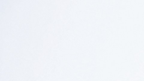 Foto de un formulario de solicitud para una tarjeta del Seguro Social en Estados Unidos