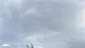 Tornado causa dos muertos y daños en Florida