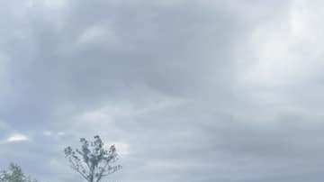 Tornado causa dos muertos y daños en Florida