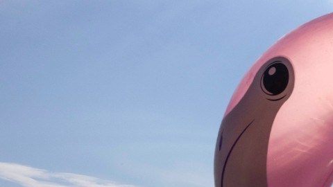 El alza en el precio de la gasolina podría cambiar tus planes para spring break