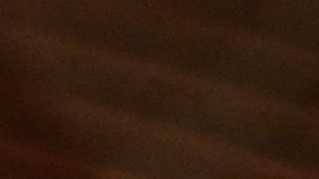 Will Smith pide disculpas tras altercado con Chris Rock.