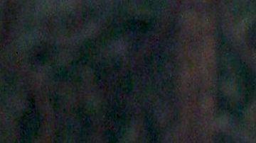 Aislinn y Eugenio Derbez | Mezcalent.