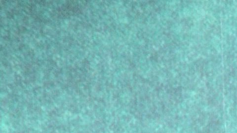 Camila Sodi | Mezcalent.