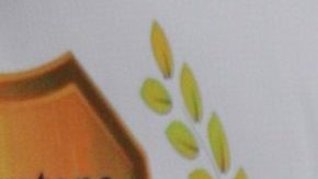 VIDEO: ¿Rebecca Jones es lesbiana? La actriz responde a los rumores sobre su sexualidad