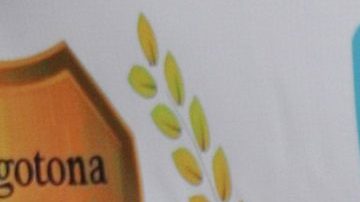 VIDEO: ¿Rebecca Jones es lesbiana? La actriz responde a los rumores sobre su sexualidad