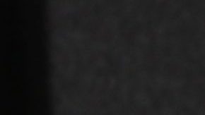 Aseguran que Adamari López tiene novio nuevo y según Chisme No Like "ya tiene a su bichote"