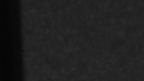 Aseguran que Adamari López tiene novio nuevo y según Chisme No Like "ya tiene a su bichote"