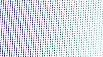 Italí Cantoral | Mezcalent.