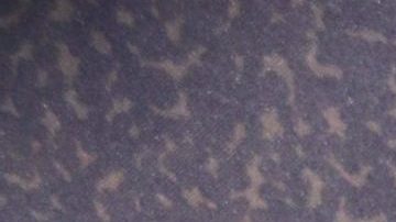 Sugey Abrego en la alfombra roja del estreno de la obra de teatro "Sola En La Oscuridad".