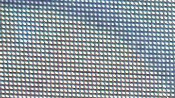 José Eduardo Derbez en la alfombra roja del estreno del musical "José, el soñador".