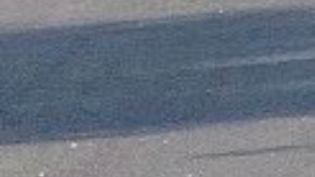 Un caimán de 11 pies paseando por la carretera 417 en Florida.