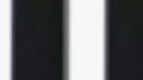 ¿Cuáles son los planes de Elon Musk para Twitter tras convertirse en su principal accionista?