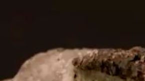 El increíble hallazgo del "primer fósil de dinosaurio vinculado al asteroide que causó su extinción"