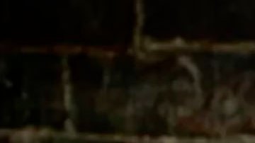 "A Chávez le dieron la oportunidad de oro para radicalizarse": 20 años del fallido golpe de Estado en Venezuela