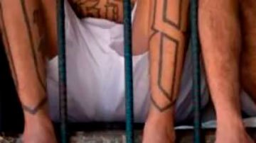 Bukele contra las maras: "Los políticos en El Salvador les dieron a las pandillas un valor que no tenían: la influencia"