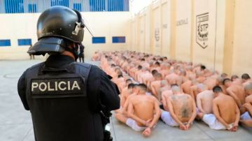 Bukele contra las maras | "Se empuja al policía a capturar a alguien que no tiene que ver con las pandillas": las denuncias de excesos en El Salvador
