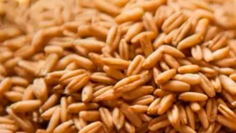 Cómo comenzó la "interdependencia" de Rusia y Occidente en el sistema alimentario global (y cuál es su impacto en la guerra en Ucrania)