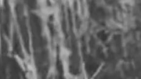 La alianza entre las empresas mexicanas Pascual Boing y Rumec, busca hacer frente a las grandes empresas refresqueras transnacionales como la gigante Coca-Cola