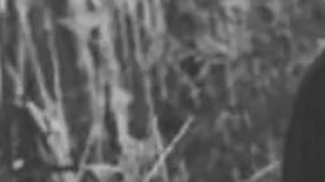 La alianza entre las empresas mexicanas Pascual Boing y Rumec, busca hacer frente a las grandes empresas refresqueras transnacionales como la gigante Coca-Cola