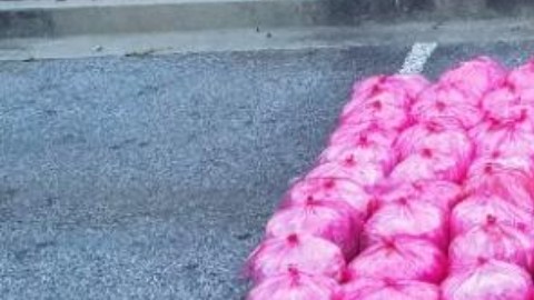 Incautan metanfetamina por valor de más de $35 millones en Texas