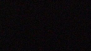 Alberto Estrella | Mezcalent.