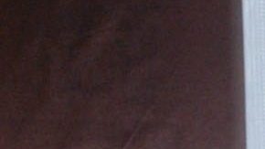 Lolita Ayala | Mezcalent.