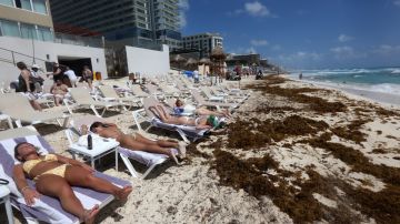 Sargazo afecta playas mexicanas de Quintana Roo a solo unos días del inicio de la temporada vacacional