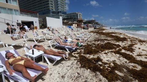 Sargazo afecta playas mexicanas de Quintana Roo a solo unos días del inicio de la temporada vacacional