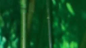 Noelia y Jorge Reinoso | Mezcalent.