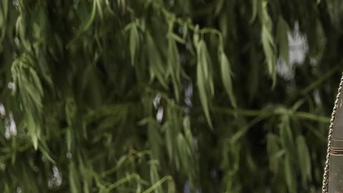 México defiende posición en demanda contra fabricantes de armas EE.UU.
